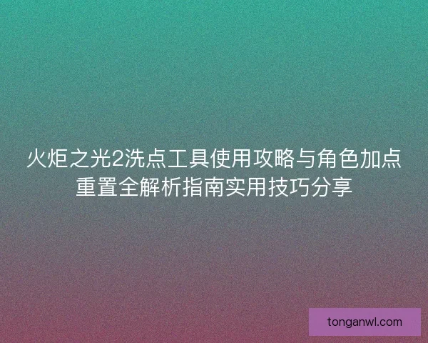 火炬之光2洗点工具使用攻略与角色加点重置全解析指南实用技巧分享