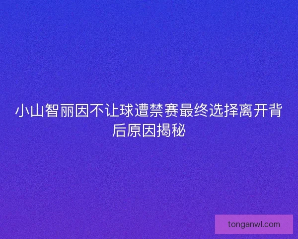 小山智丽因不让球遭禁赛最终选择离开背后原因揭秘