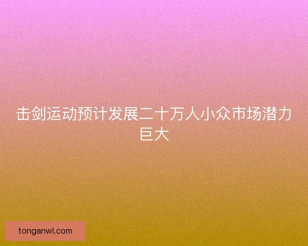 击剑运动预计发展二十万人小众市场潜力巨大 击剑运动预计发展二十万人小众市场潜力巨大